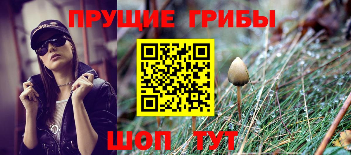 Городец  Галлюциногенные грибы Psilocybe  Псилоцибиновые грибы Magic Shrooms  Вход с VPN 